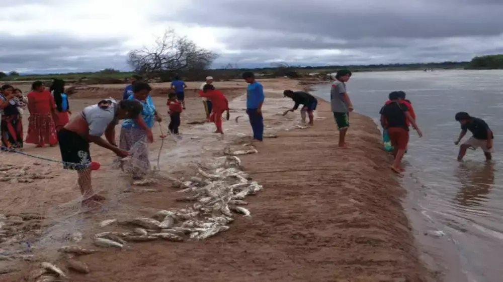 Noticias del Chaco Tarija SantaCruz y Bolivia ReporteChaco